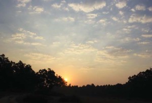 Spectacular sunrise at Bandhavgarh
