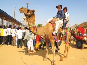 Foreign tourists enjoy a camel safari