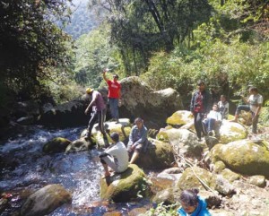 Streams flowing down straight from the Himalayas are a delight for the trekkers