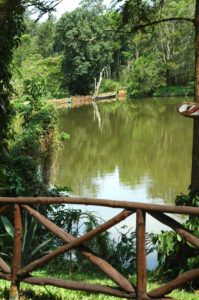 A view of a limpid lake at Evolve Back resort