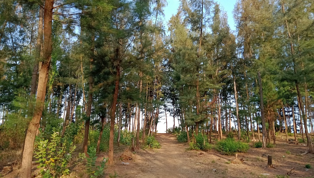 The path leading to the serene Awas beach
