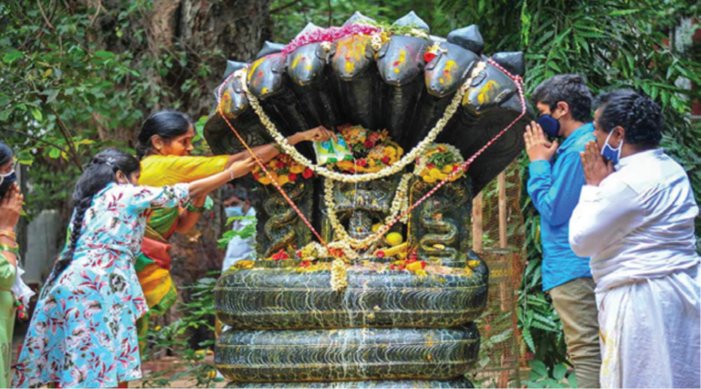 Nag Panchami venerates snakes as divine creatures. It is celebrated in Shravan by offering milk, flowers and sweets to snakes and worshipping them
