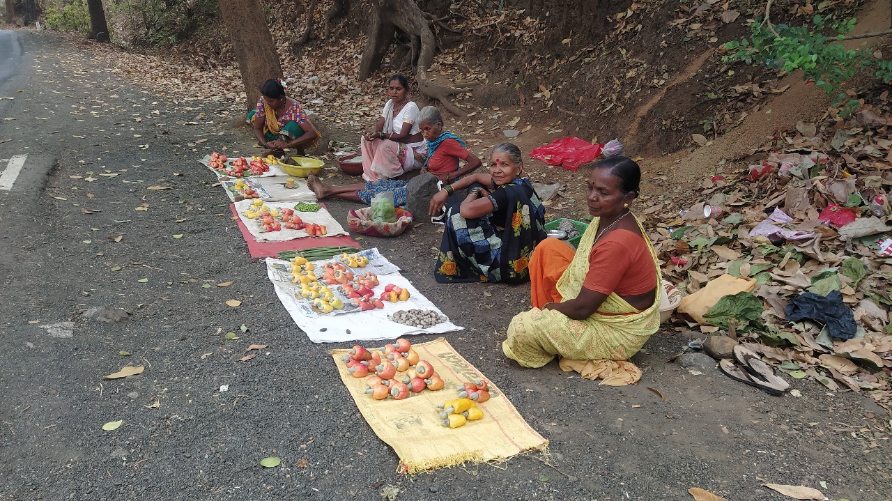 Tribal women selling cashew fruits and local produce