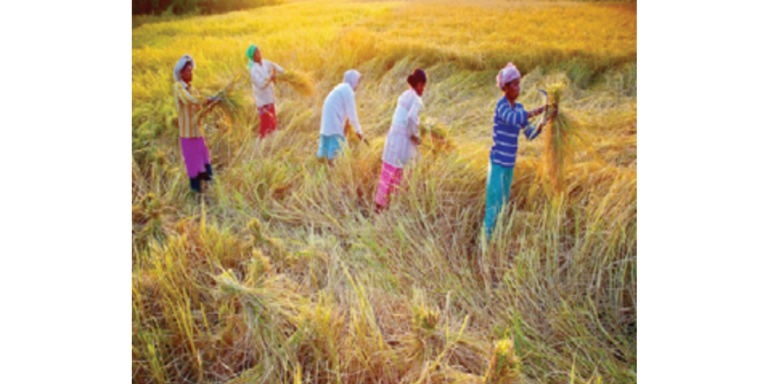 Women farmers are the real strength of the Tikamgarh